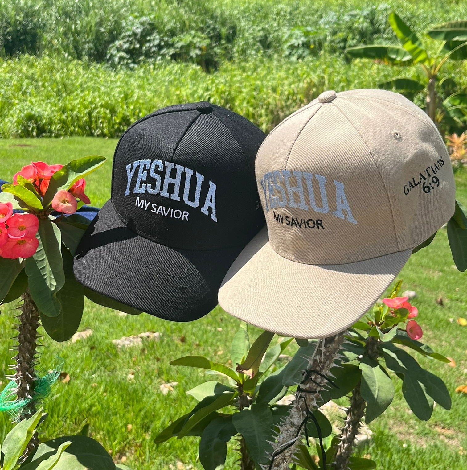 YESHUA GL Beige Cap